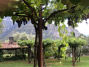 Foto: Gardasee