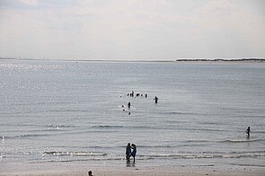 Foto: Wangerooge 2018